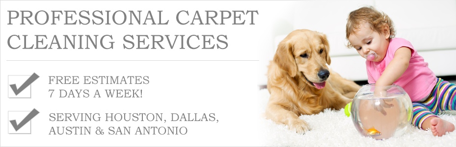 steamer carpet Dallas tx